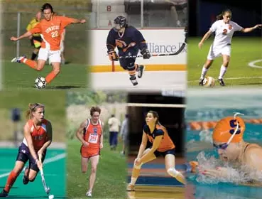 Orange Spotlight - October 20, 2008 Image