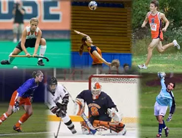 Orange Spotlight - October 6, 2008 Image