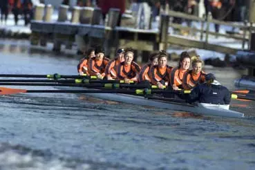 Orange Rows Against Penn and Northeastern Image