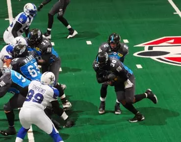 Orange Grads Enjoy Success in the AFL Image