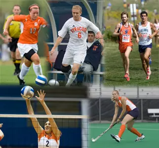 Orange Spotlight - August 25, 2008 Image