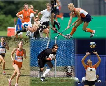 Orange Spotlight - September 15, 2008 Image