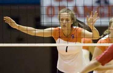 Volleyball Sweeps Colgate Invitational Image