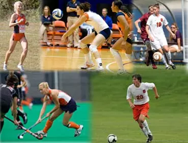 Orange Spotlight - September 29, 2008 Image