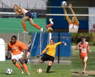 Orange Spotlight - September 8, 2008 Image