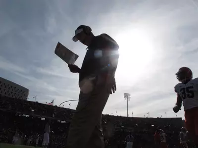 Doug Marrone at Cincinnati