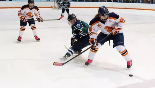 Margot Scharfe takes this puck from Laker Gina Buquet.