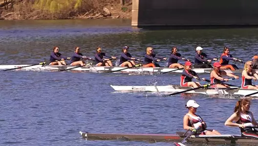 orange challenge cup