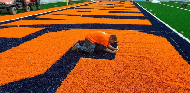 FieldTurf, Dome