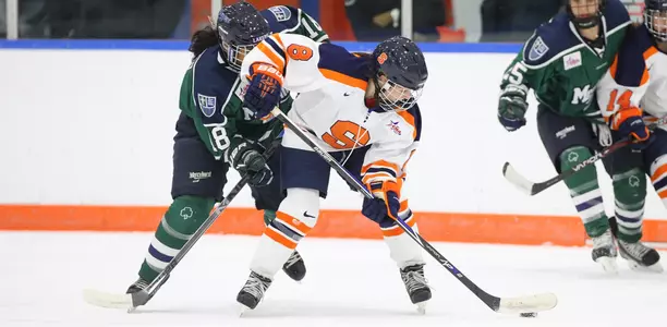GrossiMercyhurstPreview