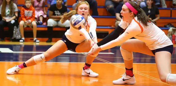 Valelly Weaver dig
