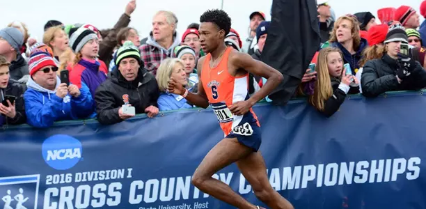 Justyn Knight