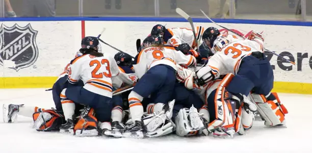 Ice Hockey Dog Pile