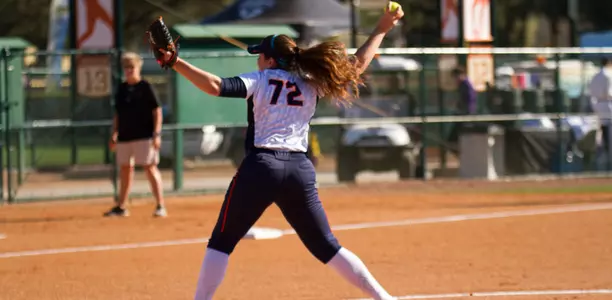 Gatti CItrus Classic 8