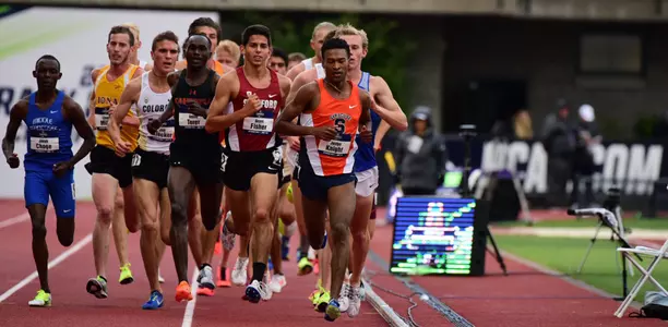 Justyn Knight