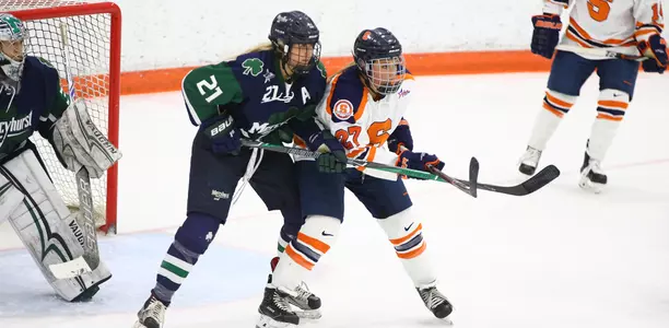 Screen in front of the net