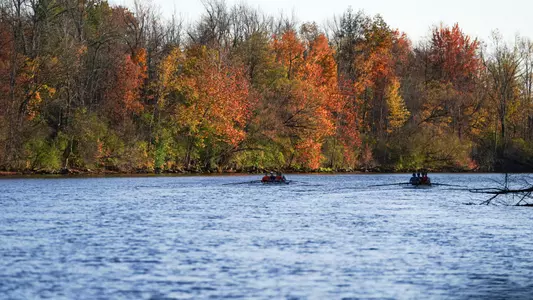 Men's Rowing Fours up the river