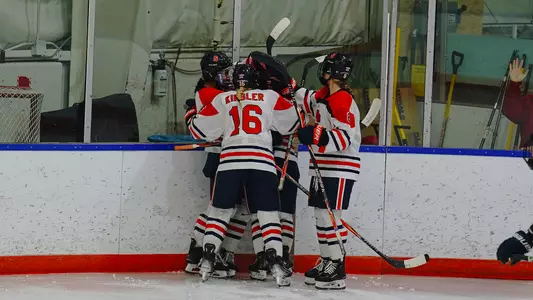 Late Rally Falls Short Against Mercyhurst Image