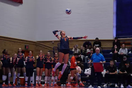 Ava Palm Action Shot