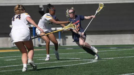Ashlee Volpe