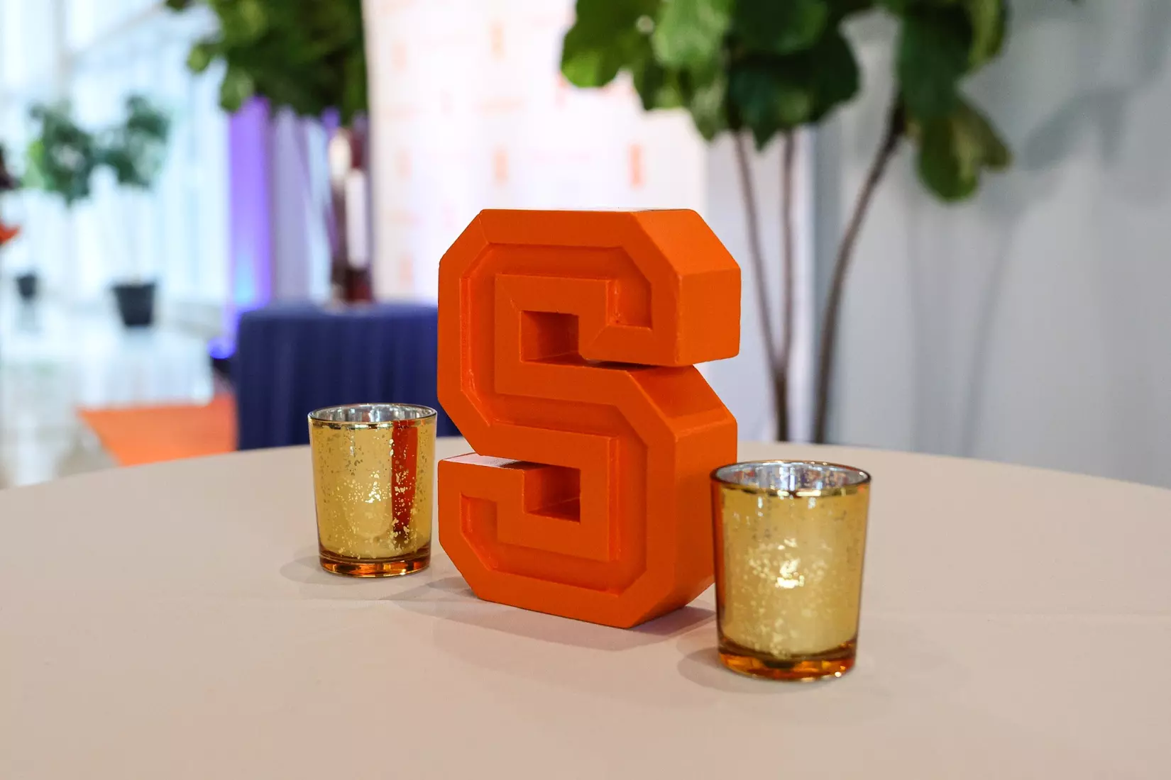 WBB Alumni and Final Four Team