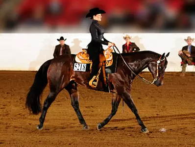 No. 6 Equestrian Falls to No. 5 South Carolina, 12-8