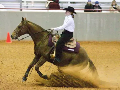 No. 2 A&M Tops TCU, 12-7