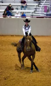 Hunter Seat Riders Zip Past Delaware State 7-1 at Nationals