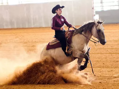 No. 6 Equestrian Knocks Off No. 2 South Carolina