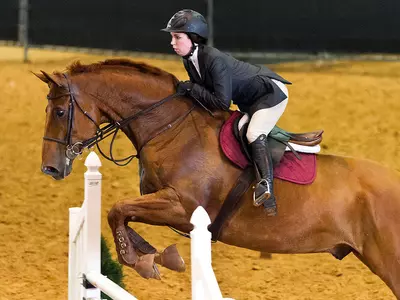 No. 6 Equestrian Drops 16-6 Decision to No. 2 Georgia on Senior Day