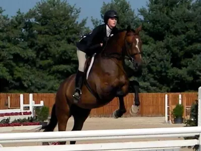 Equestrian Falls in Battle of No. 1 Teams