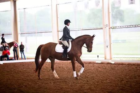 No. 3 Auburn Defeats Ninth-Ranked Texas A&M in Tiebreaker