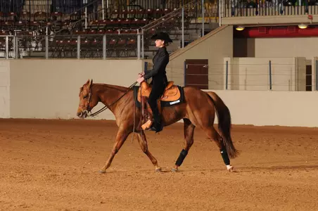 No. 3 Seed Georgia Takes Consolation from 4th-Seeded A&M