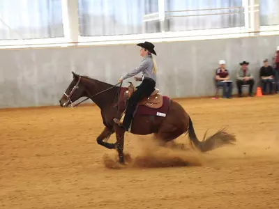 Equestrian Falls at SMU, 13-7