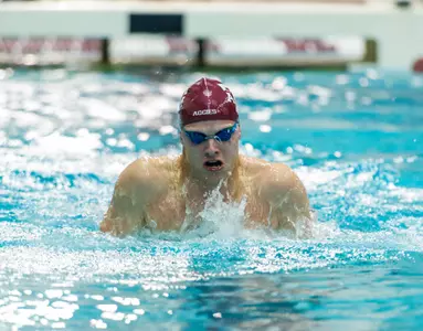 Texas A&M closes out 2014 at NCAA Championships