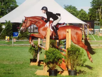 Norton Takes Two Top-10 Honors in USHJA Shows