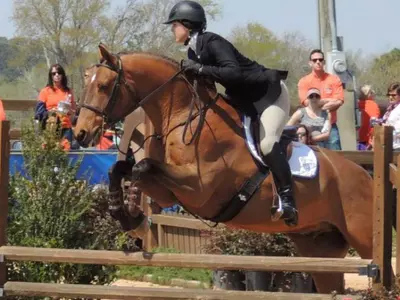 Equestrian Rolls Past UT Martin in Season Opener, 18-2