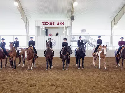 #6 Equestrian Finishes Regular Season with 12-7 Win over #4 Auburn