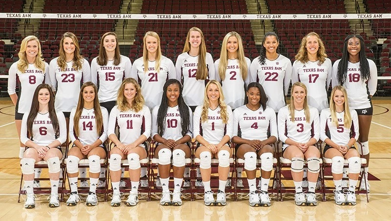 2014 Volleyball Team Photo