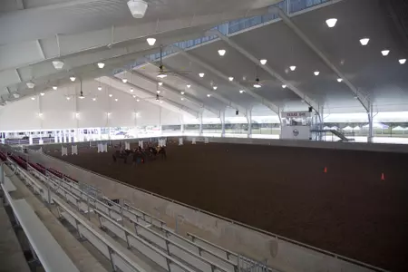 Equine Complex