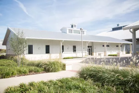 Equine Complex