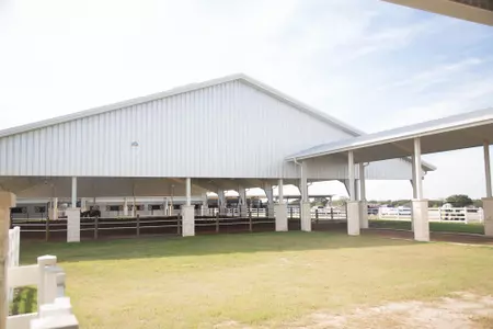 Equine Complex