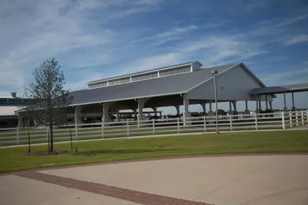 Equine Complex