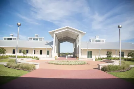 Equine Complex