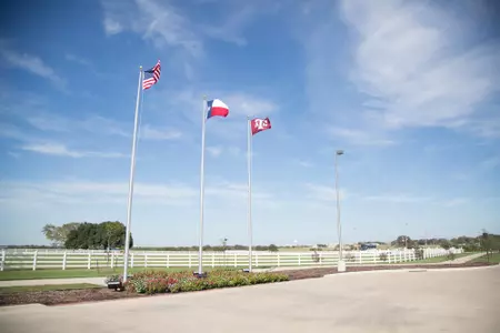 Equine Complex