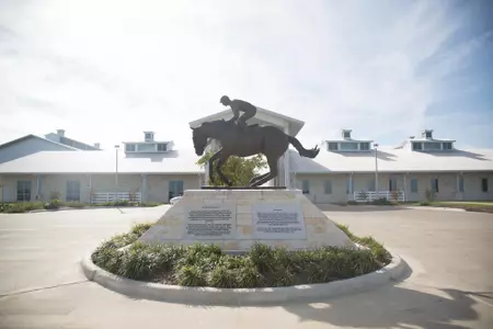 Equine Complex