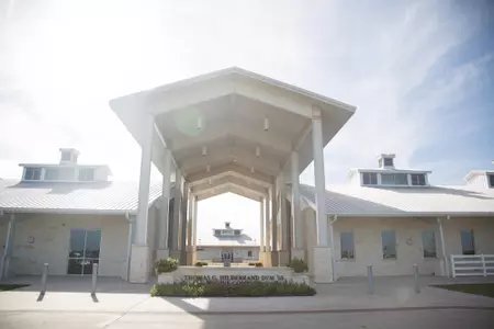 Equine Complex