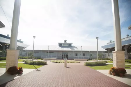 Equine Complex