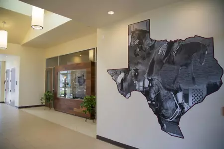 Equine Complex