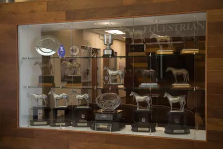 Equine Complex